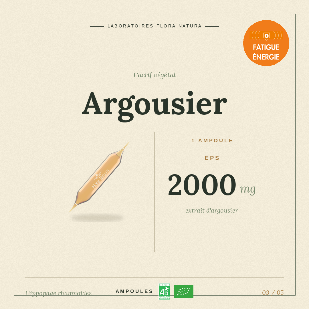 Principe actif de Argousier
