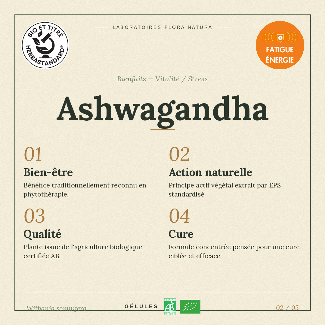 Bienfaits de Ashwagandha