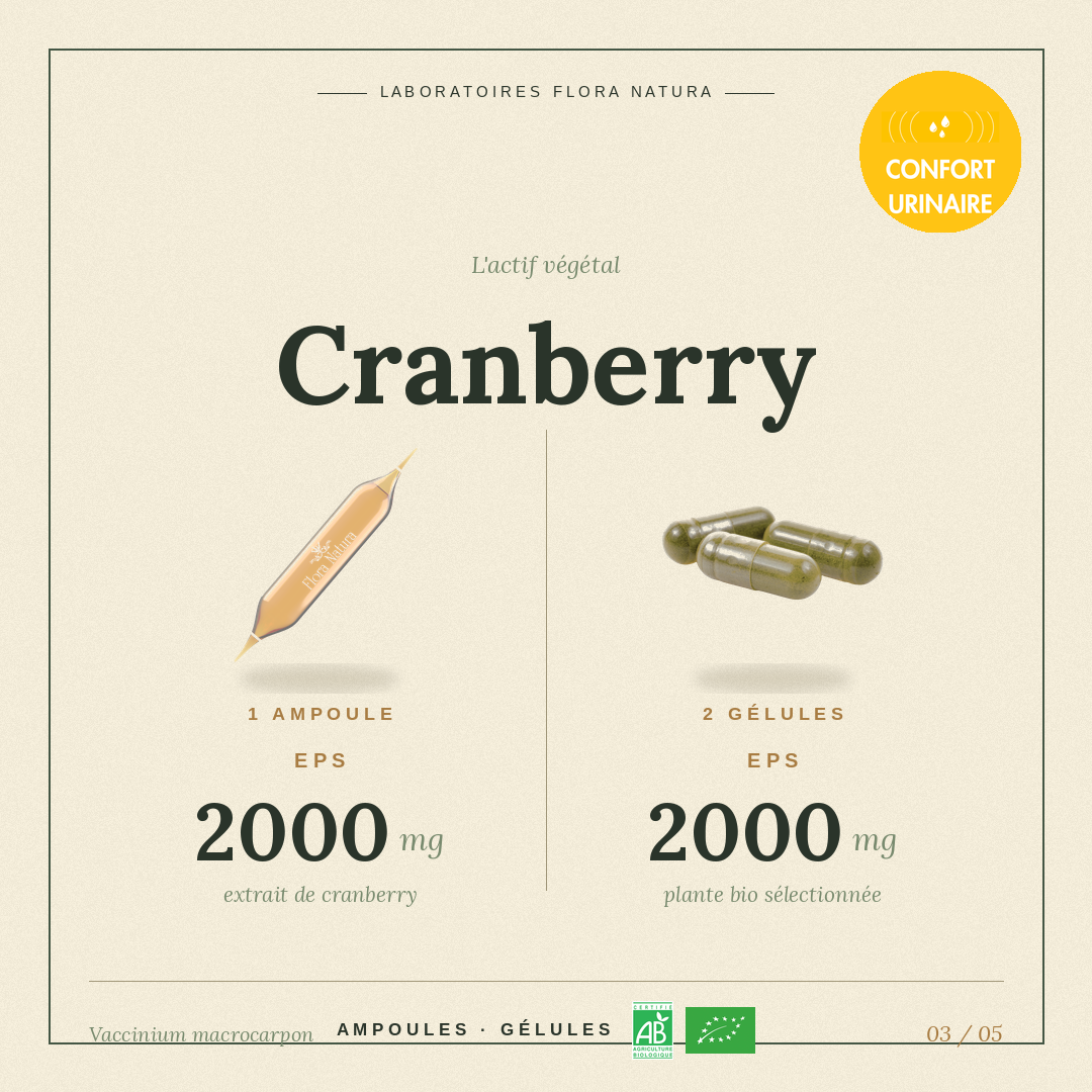 Principe actif de Cranberry