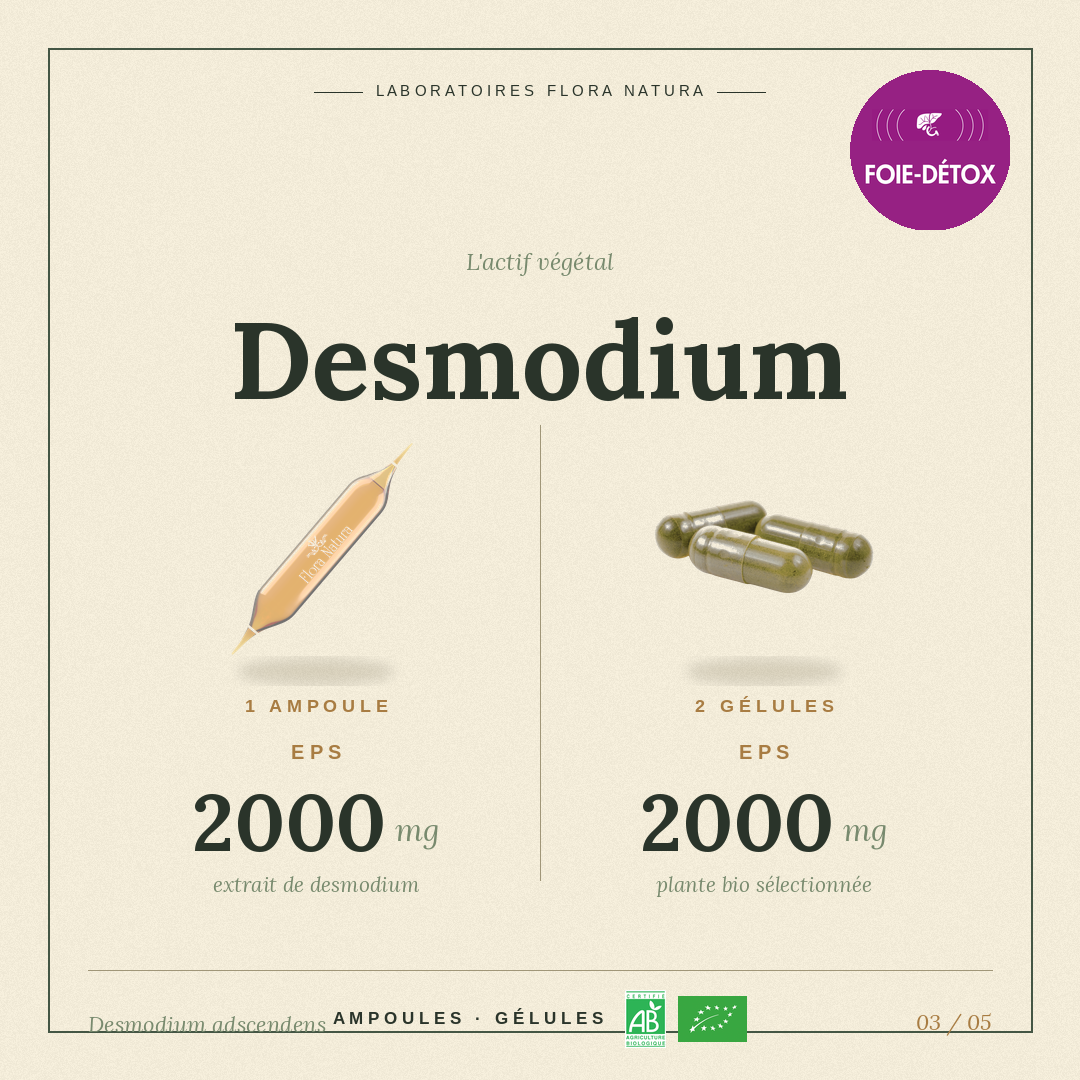Principe actif de Desmodium