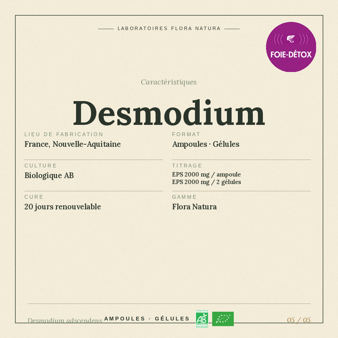Caractéristiques de Desmodium