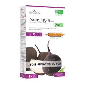 Radis noir Bio