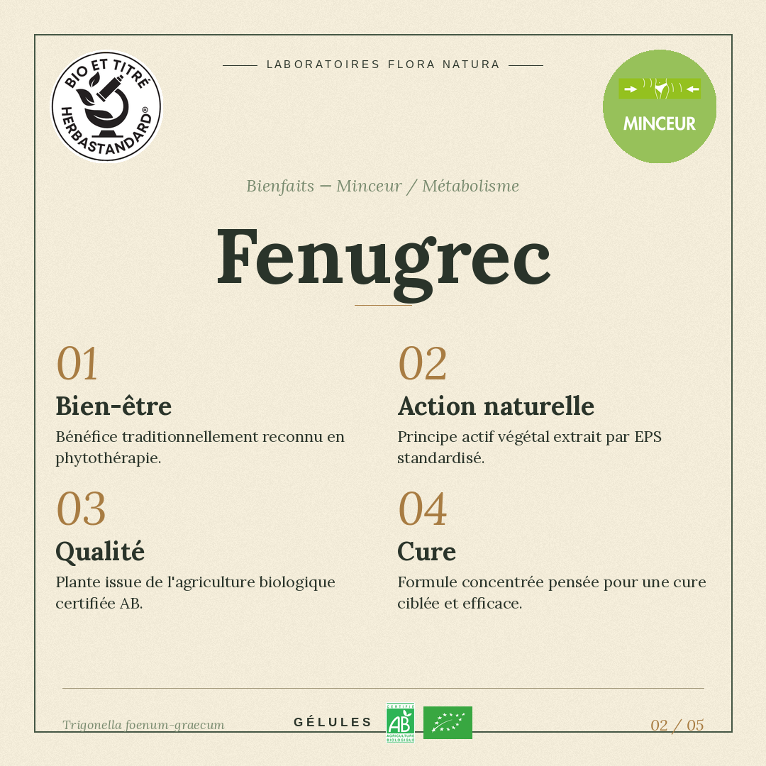Bienfaits de Fenugrec