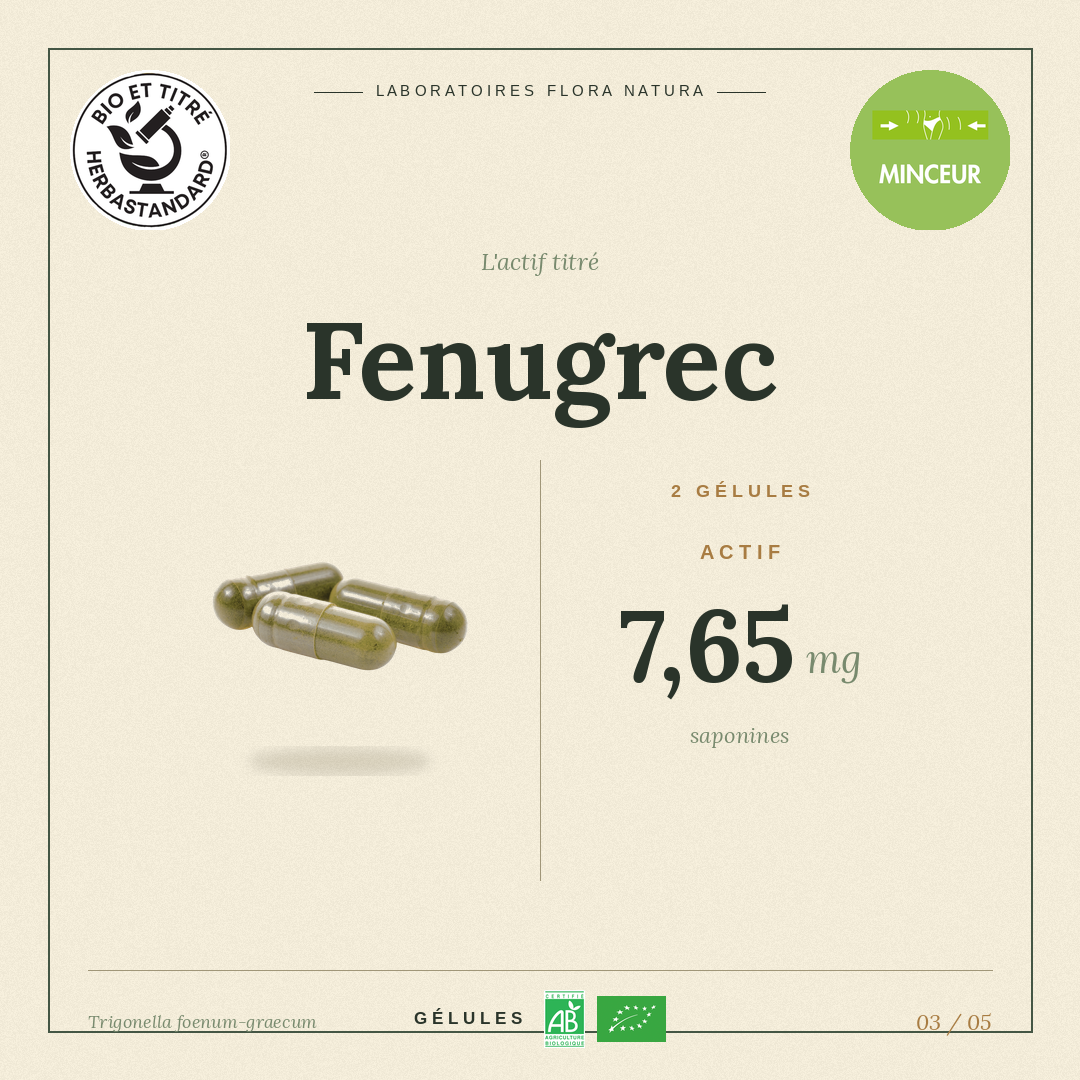 Principe actif de Fenugrec