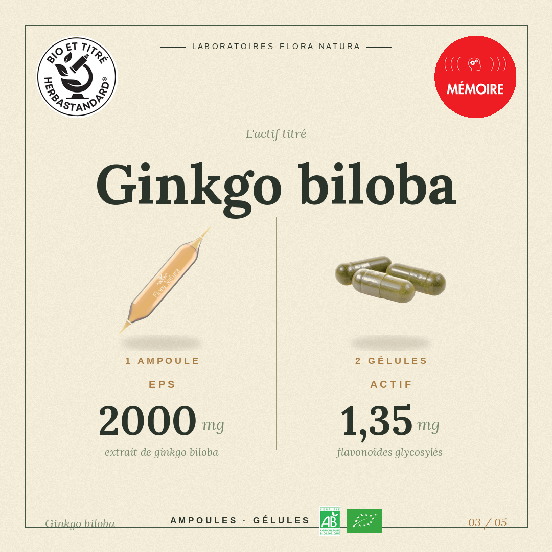 Principe actif de Ginkgo biloba
