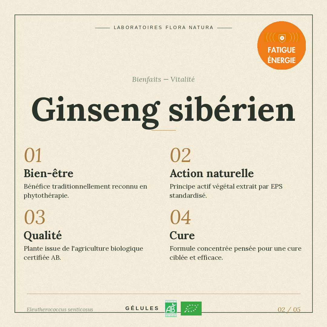 Bienfaits de Ginseng sibérien