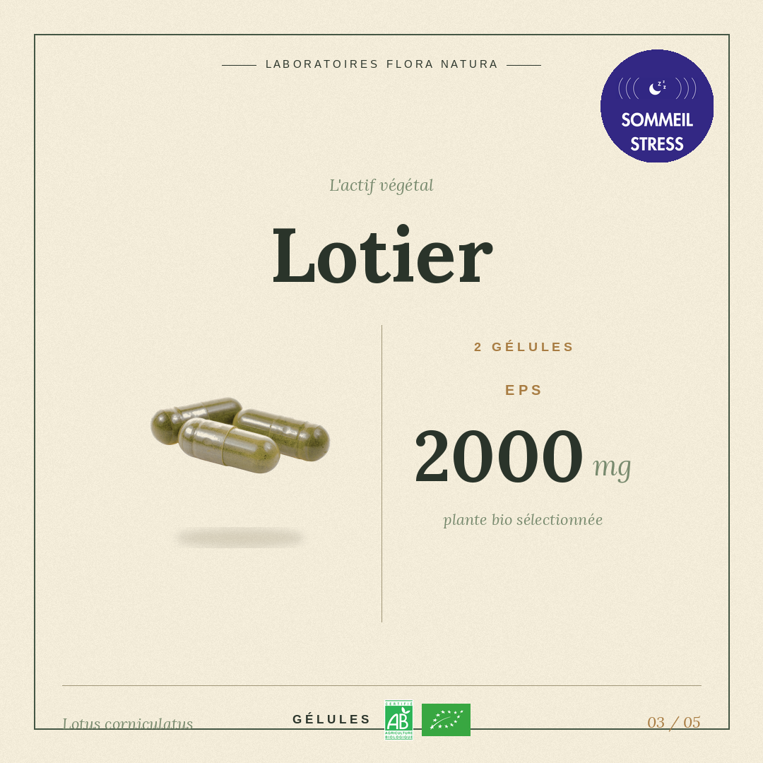 Principe actif de Lotier
