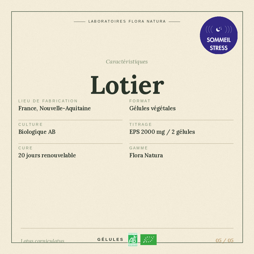 Caractéristiques de Lotier