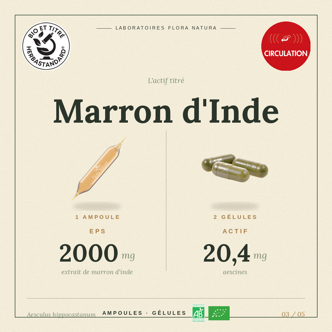 Principe actif de Marron d’Inde
