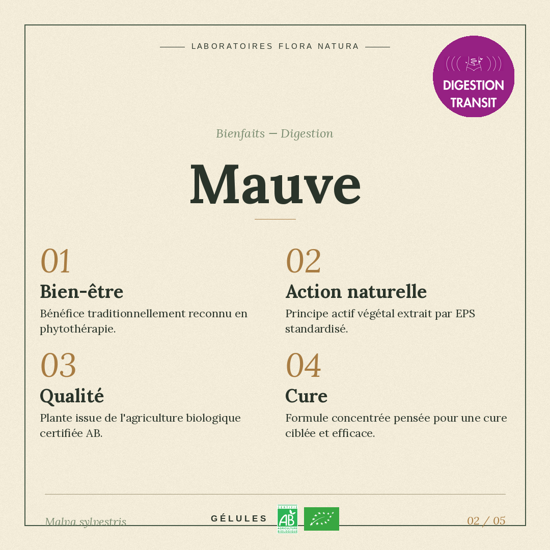 Bienfaits de Mauve