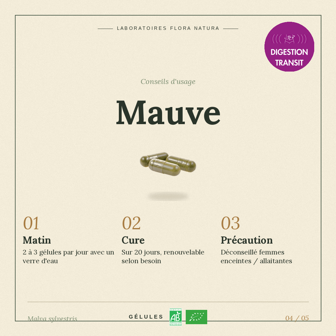 Posologie de Mauve