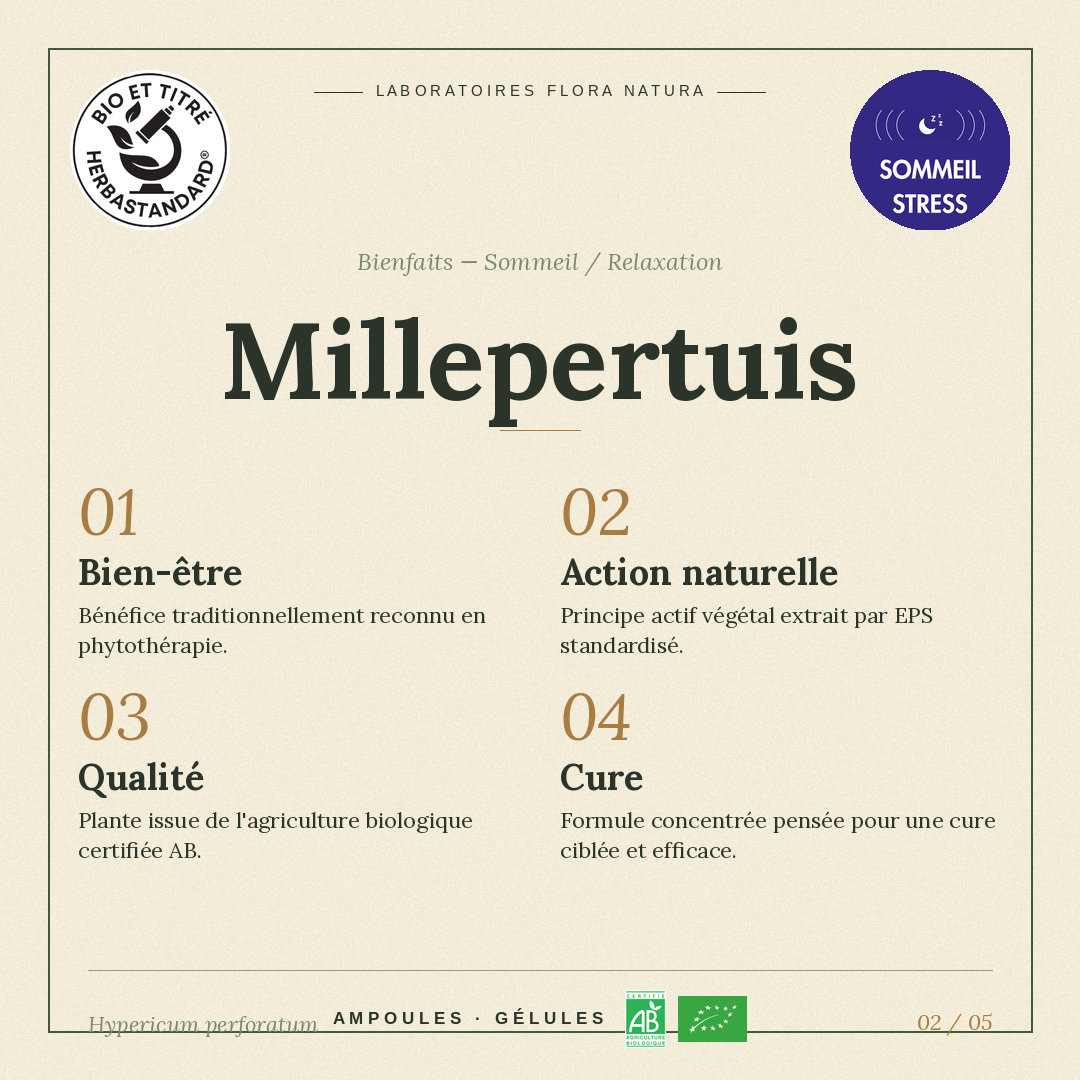Bienfaits de Millepertuis