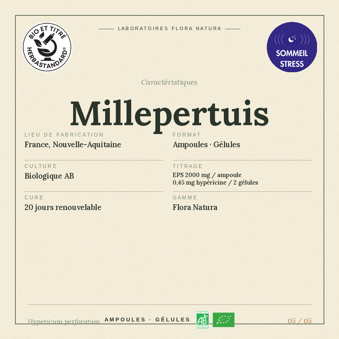 Caractéristiques de Millepertuis