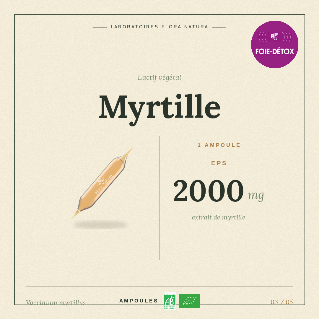 Principe actif de Myrtille