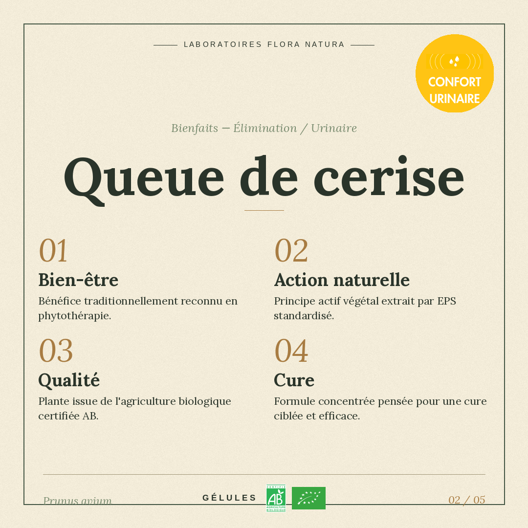 Bienfaits de Queue de cerise