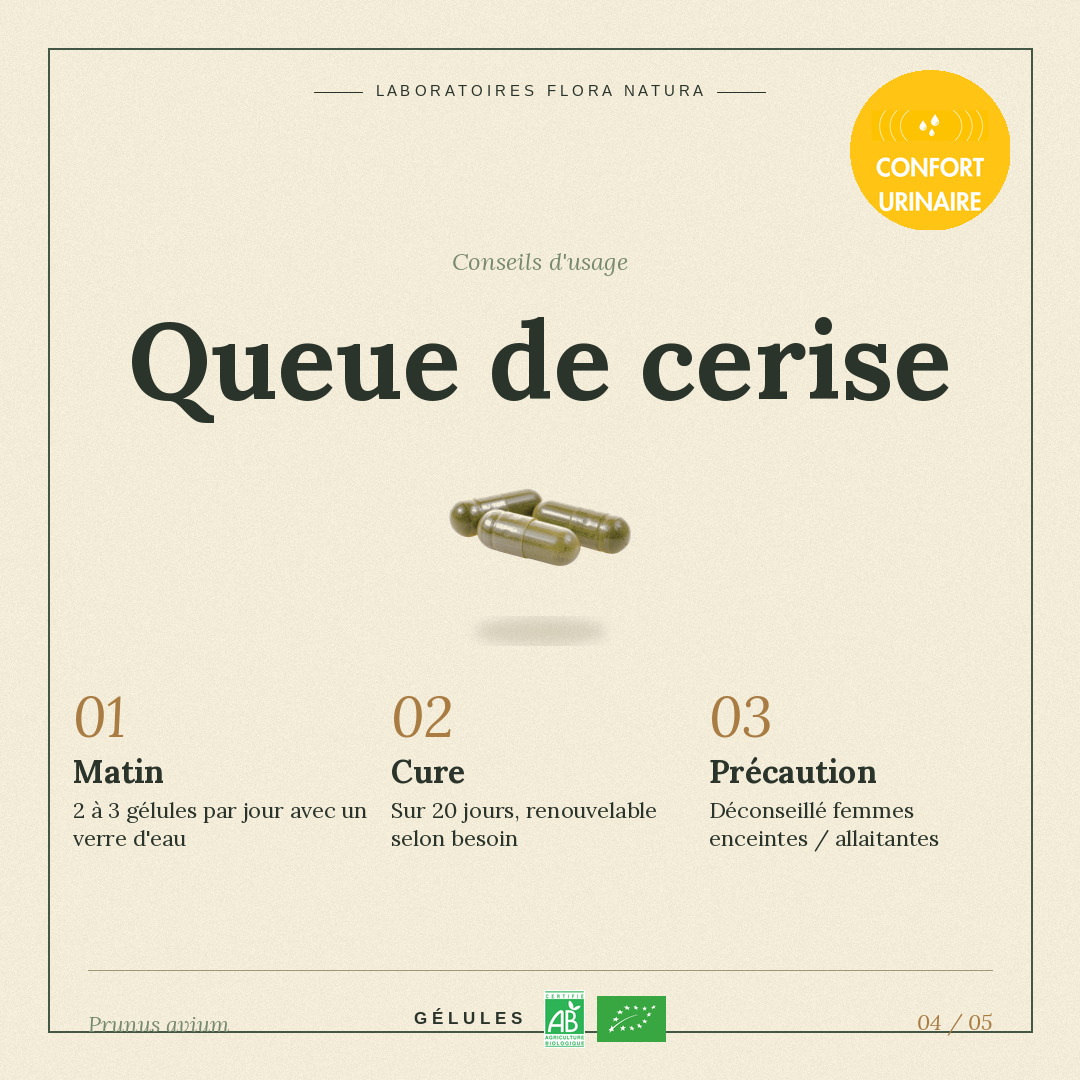 Posologie de Queue de cerise