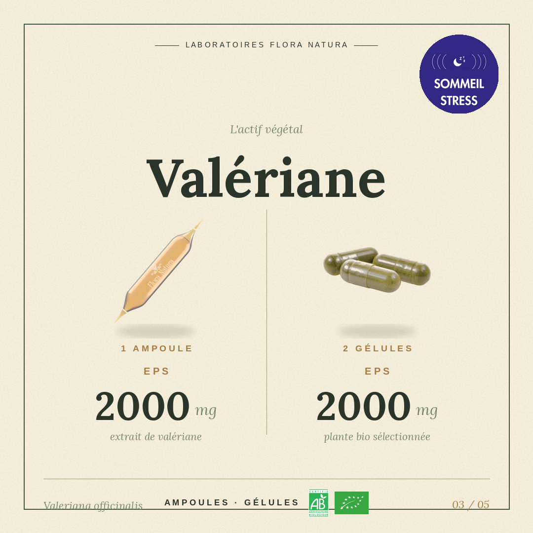 Principe actif de Valériane