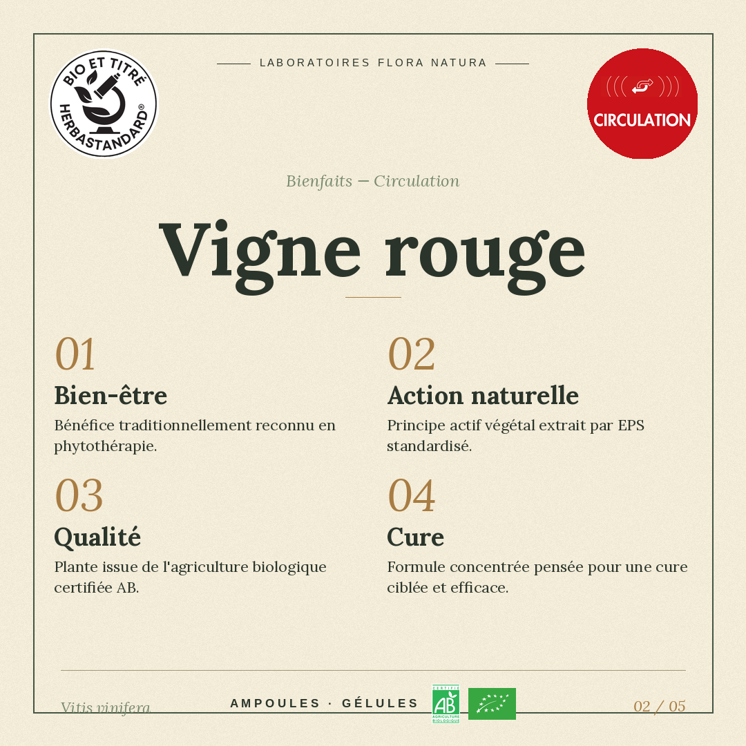 Bienfaits de Vigne rouge