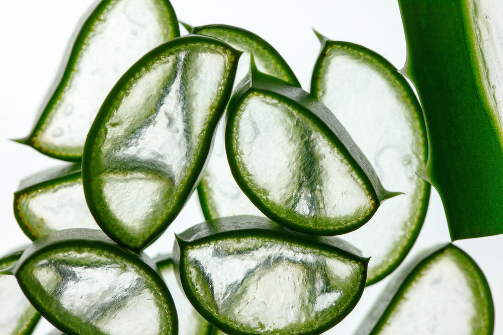 Aloe Vera