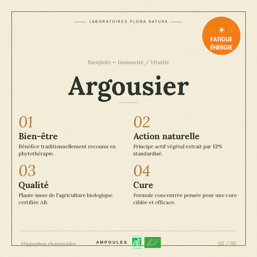 Bienfaits de Argousier