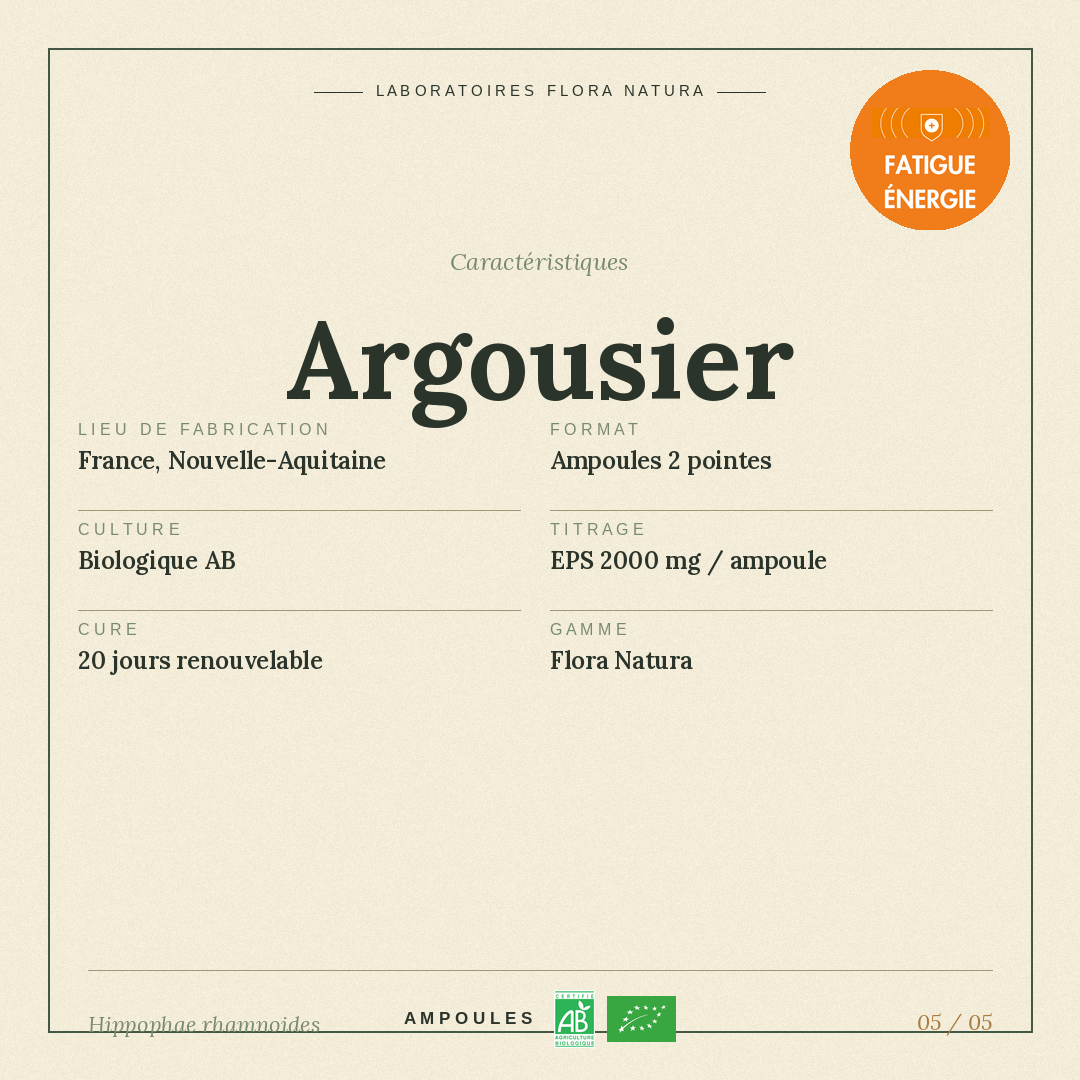 Caractéristiques de Argousier