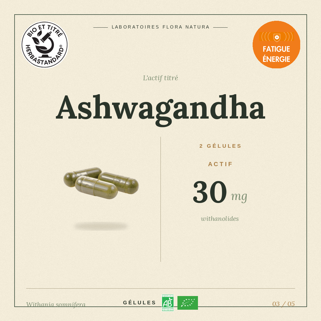 Principe actif de Ashwagandha