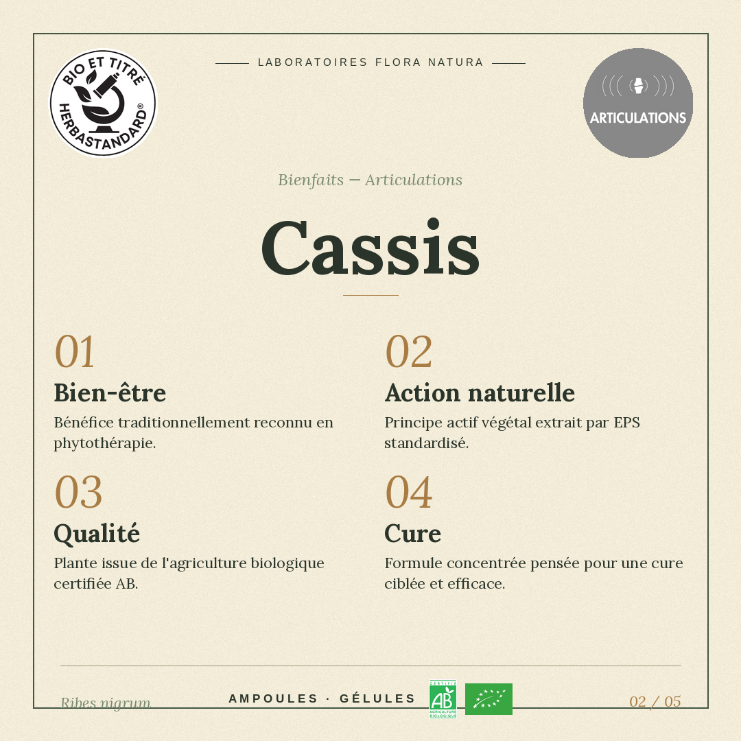 Bienfaits de Cassis