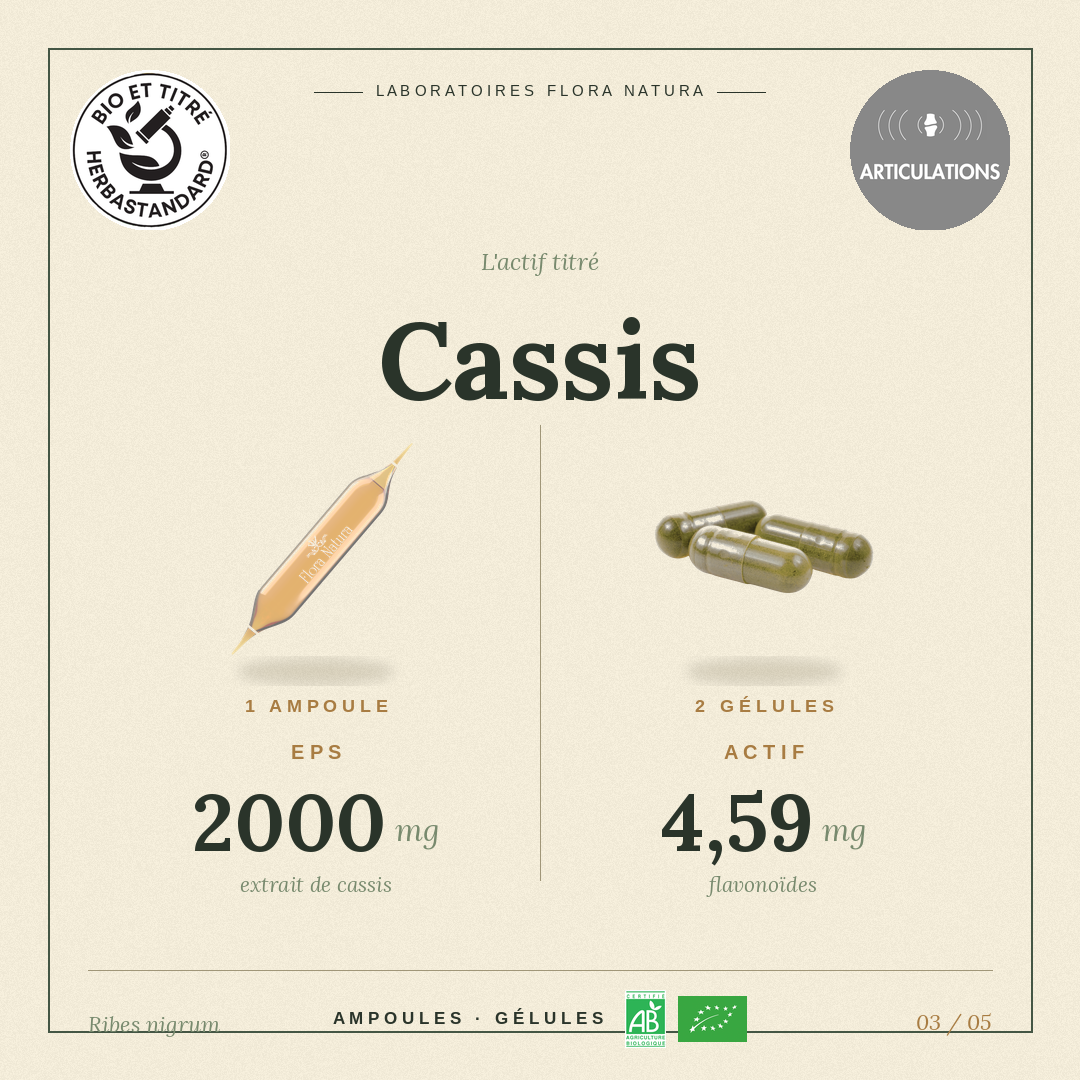Principe actif de Cassis