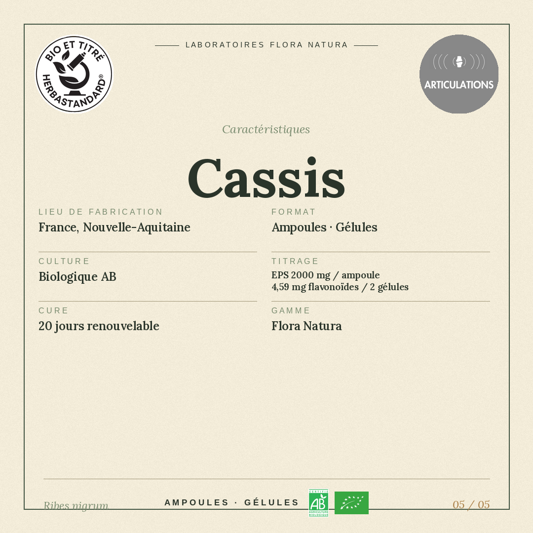 Caractéristiques de Cassis