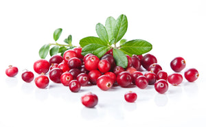 Cranberry