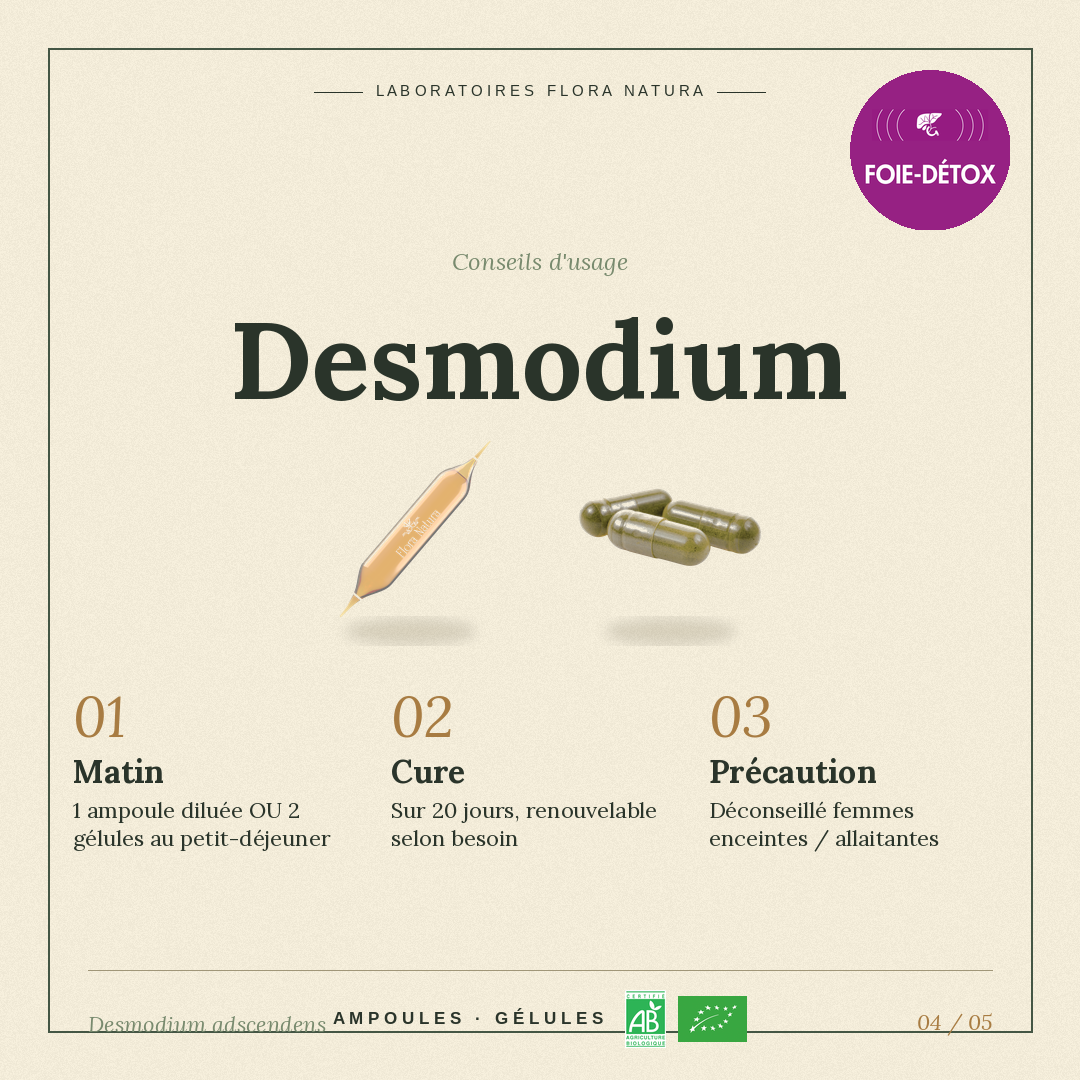 Posologie de Desmodium