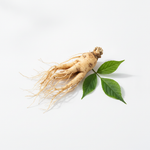 Ginseng Panax — Flora Natura