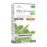 Prêle des champs - étui