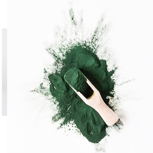Spiruline — Flora Natura