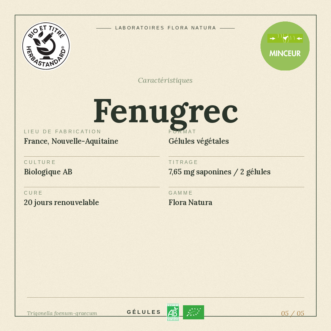 Caractéristiques de Fenugrec