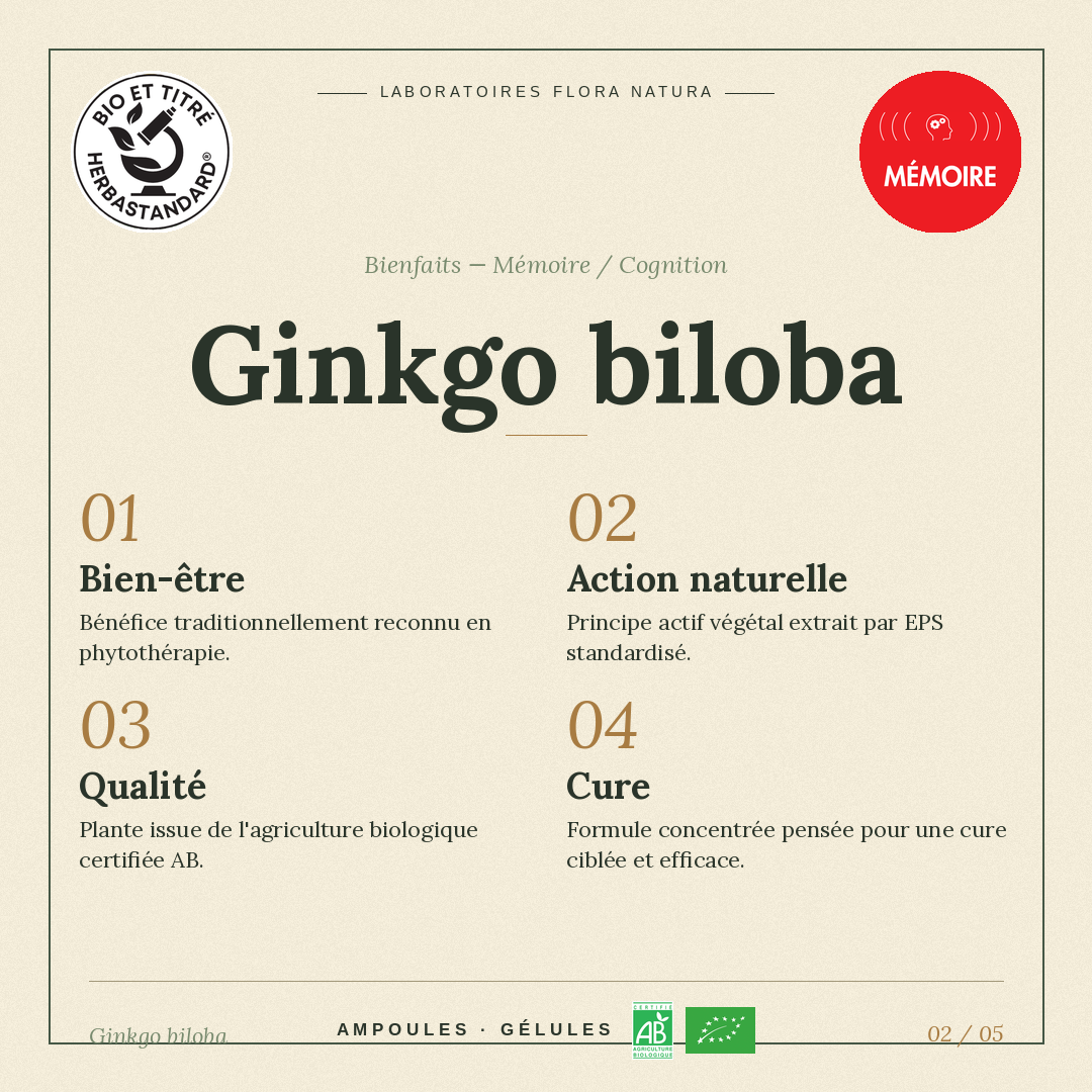 Bienfaits de Ginkgo biloba