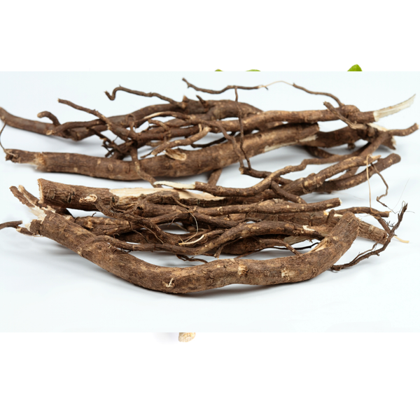 Ginseng sibérien — Flora Natura