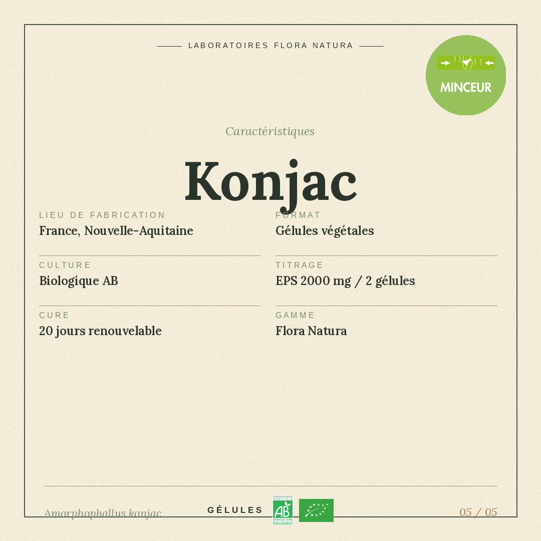 Caractéristiques de Konjac
