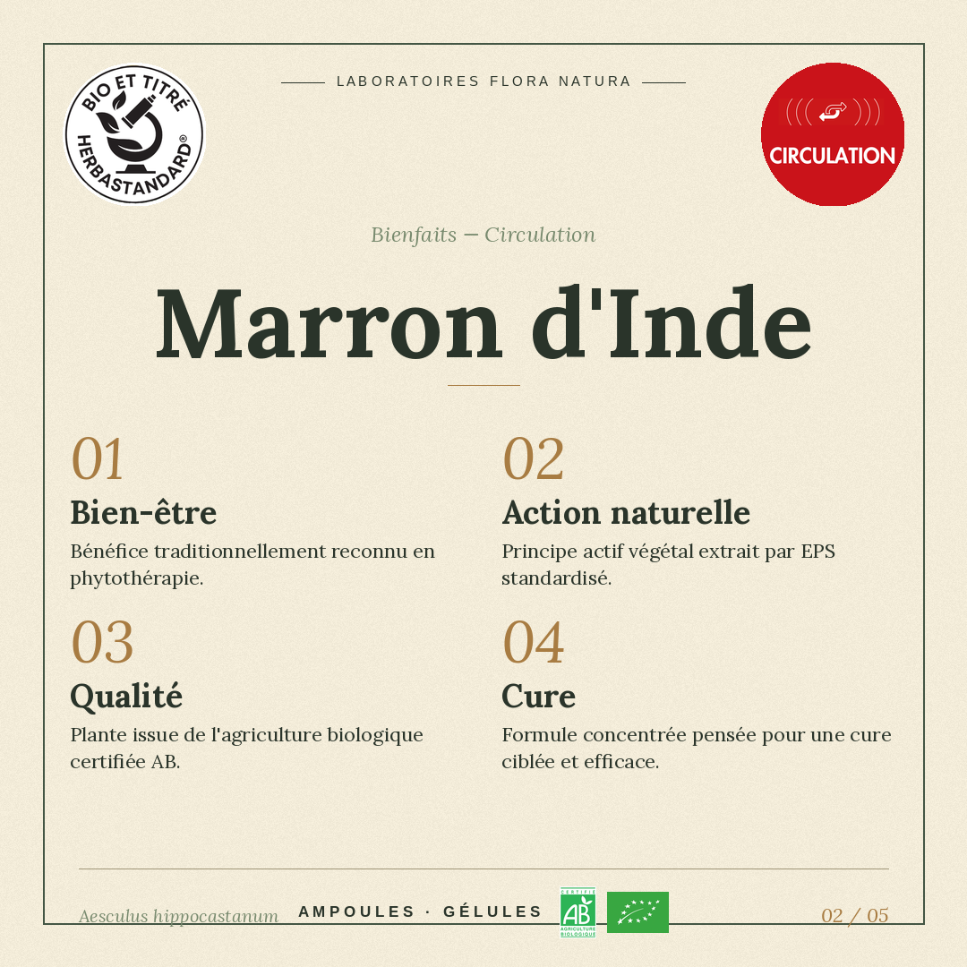 Bienfaits de Marron d’Inde