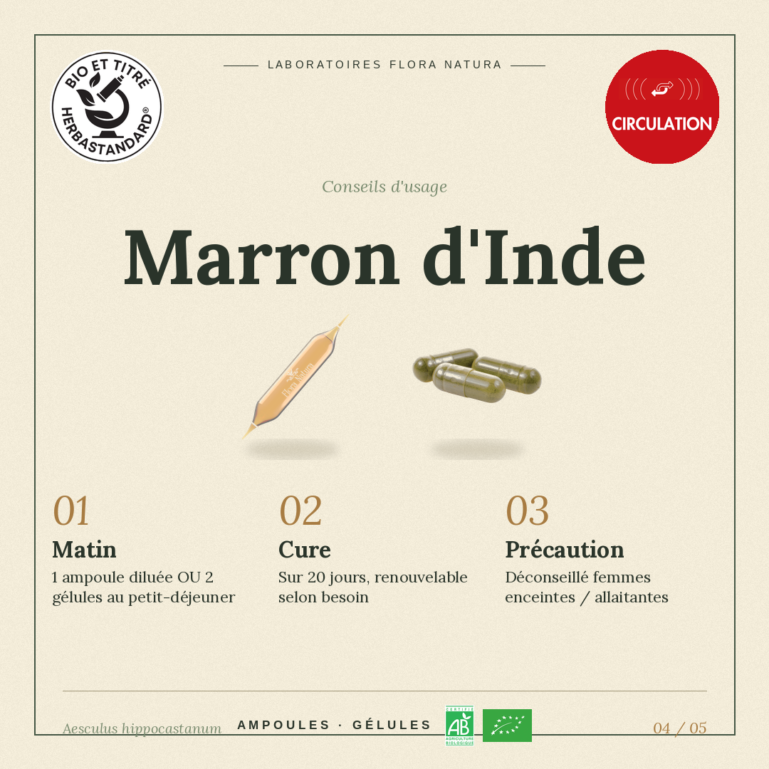 Posologie de Marron d’Inde
