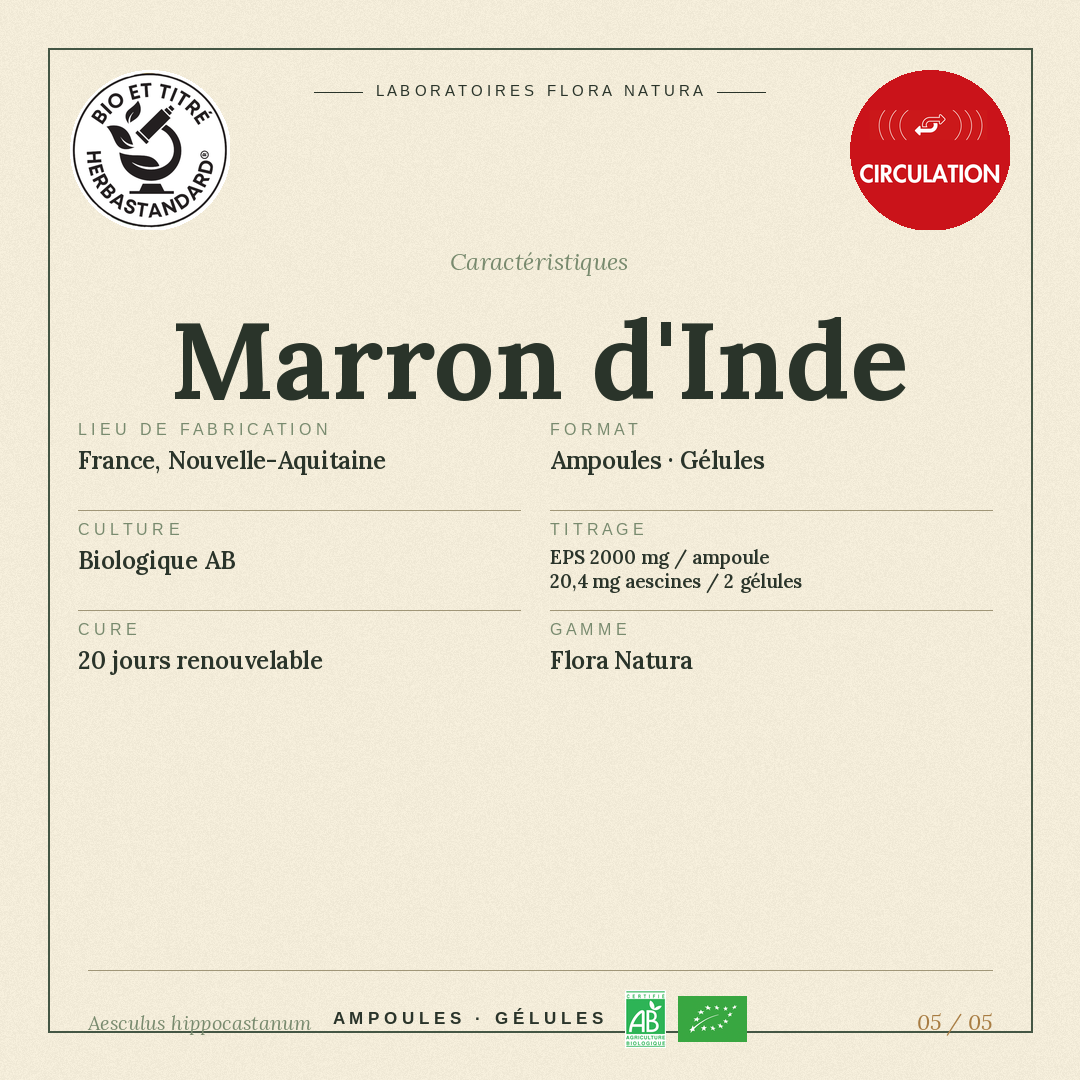Caractéristiques de Marron d’Inde