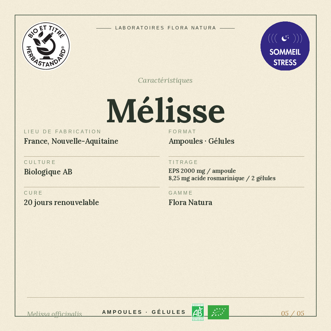 Caractéristiques de Mélisse
