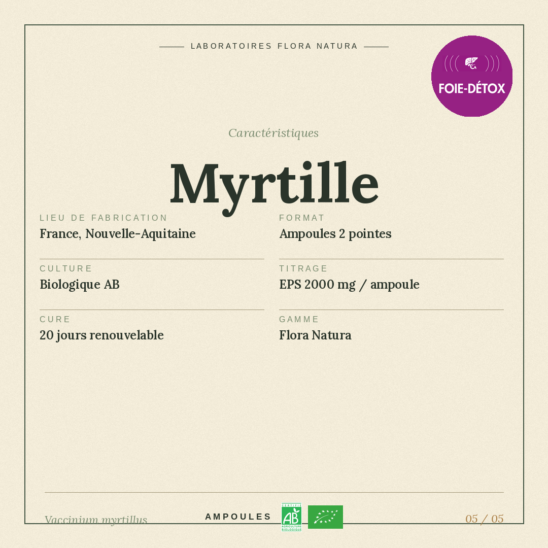 Caractéristiques de Myrtille