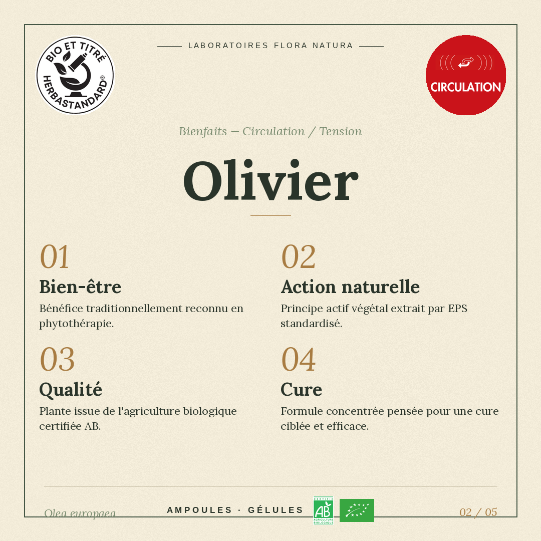 Bienfaits de Olivier