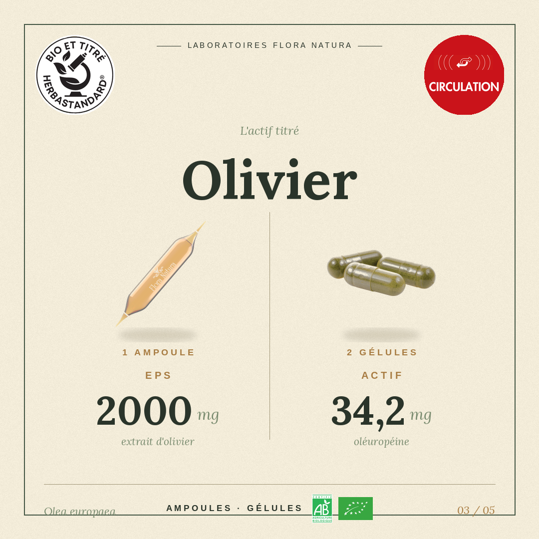 Principe actif de Olivier