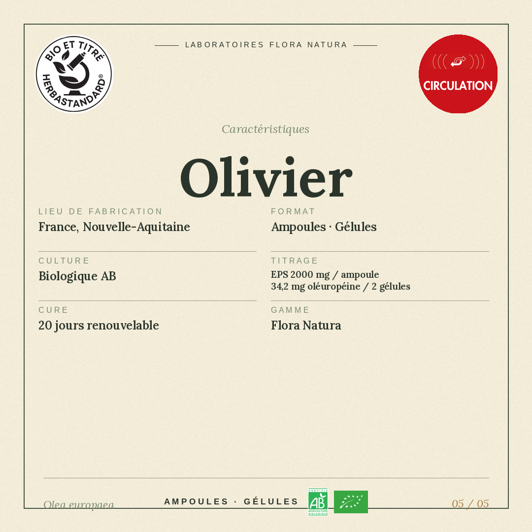 Caractéristiques de Olivier