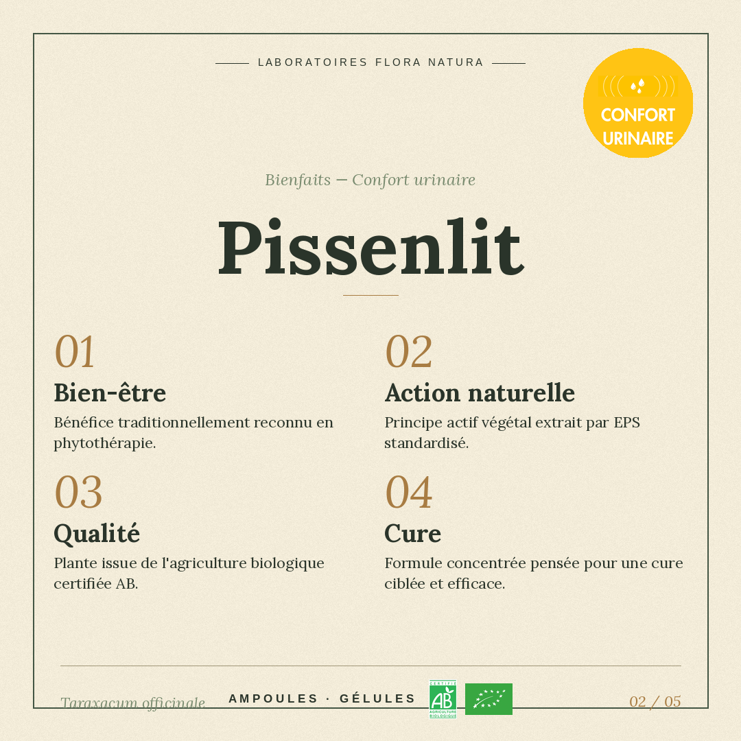 Bienfaits de Pissenlit