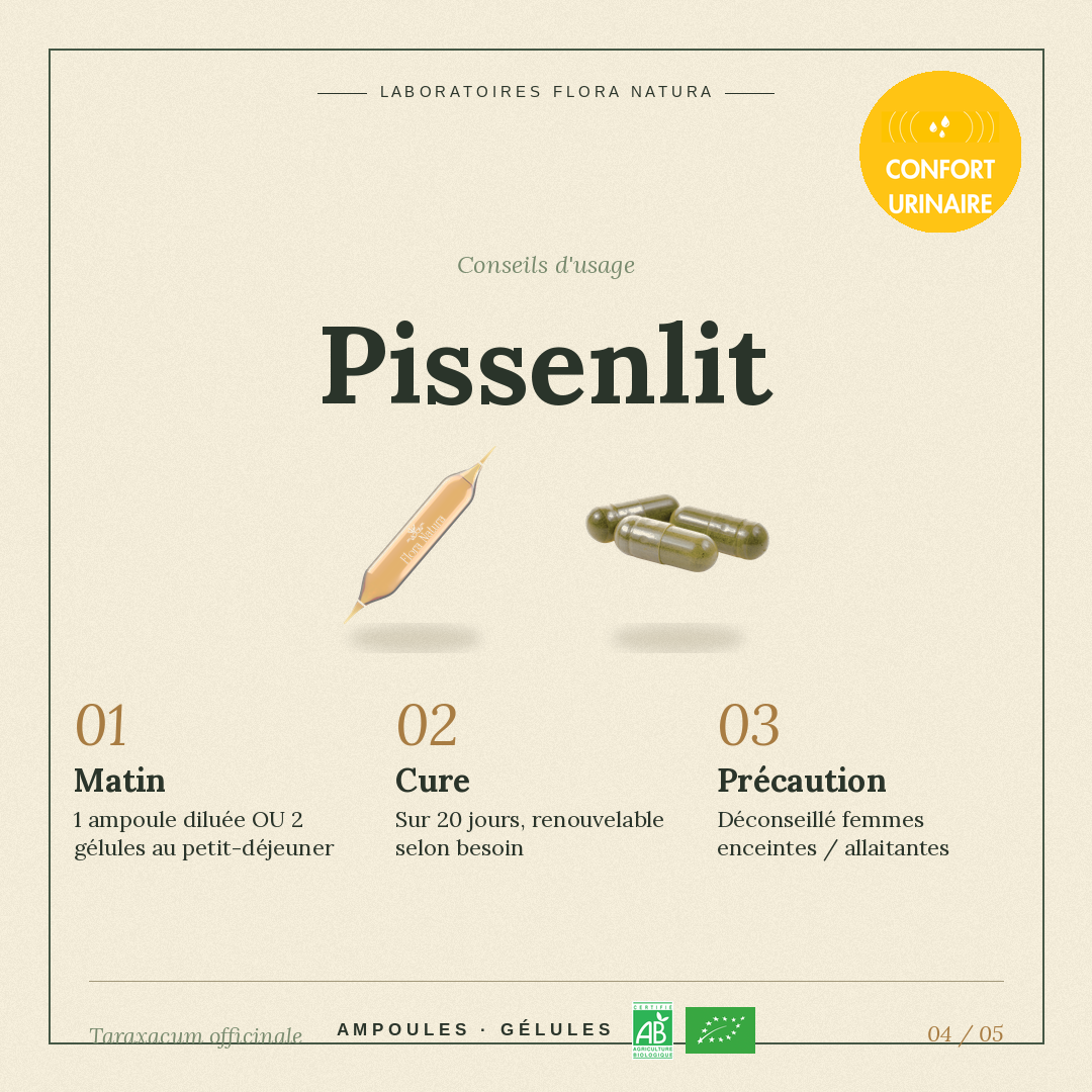 Posologie de Pissenlit
