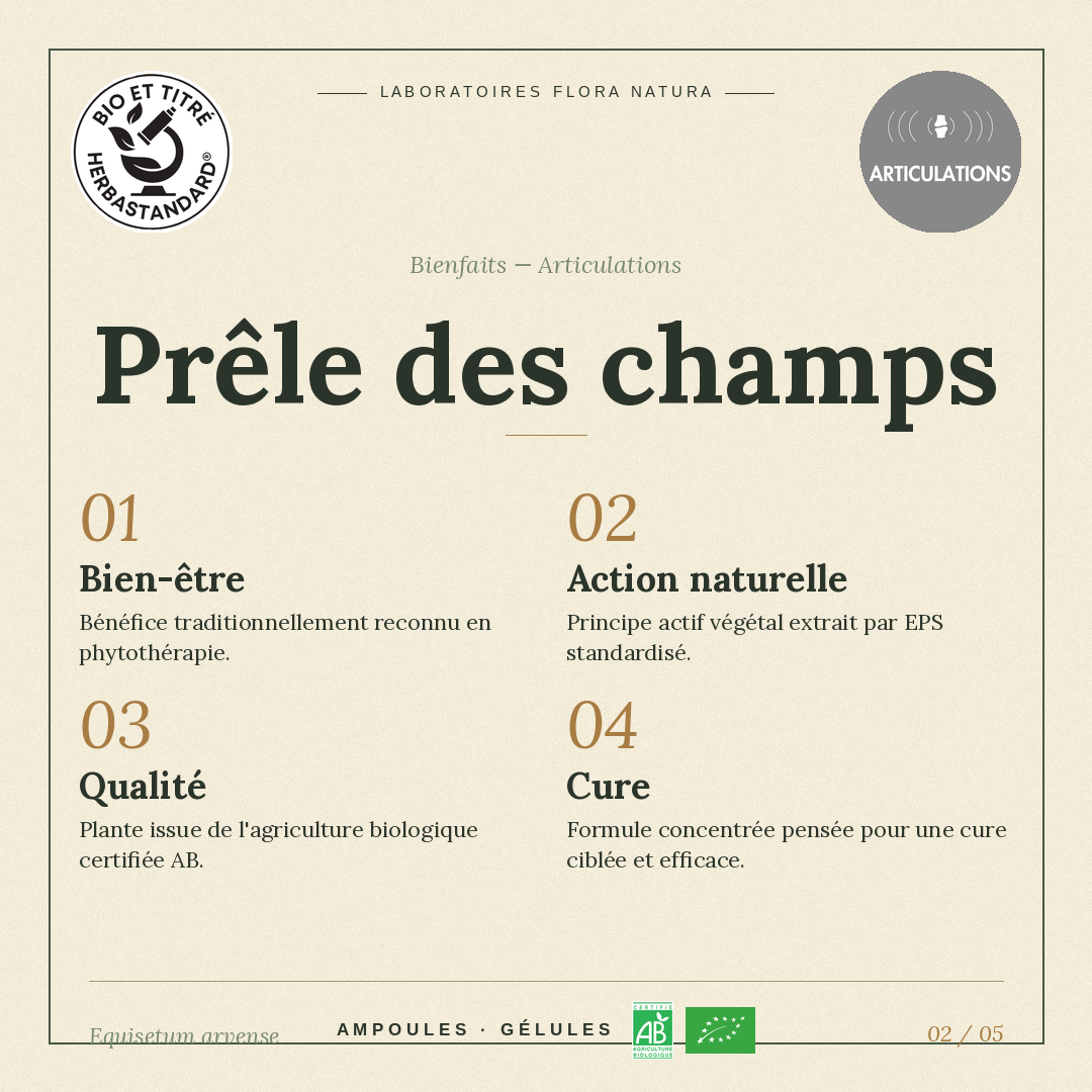 Bienfaits de Prêle des champs