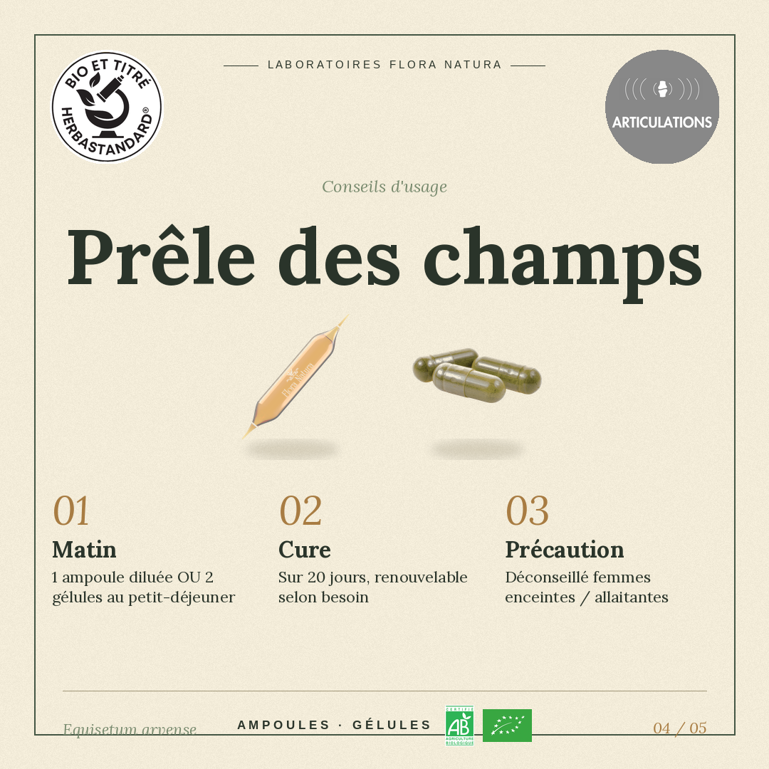 Posologie de Prêle des champs